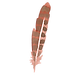 plume 5