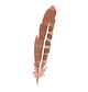 plume 5