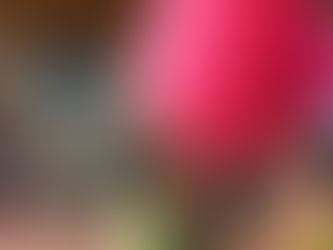 Un été 100 % sport avec l’ASUL