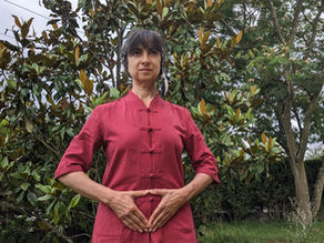 Participez à l'atelier Qi gong des saisons