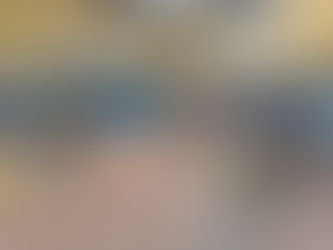 L'ASUL participe à Du stade vers l'emploi