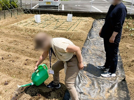 【菜園計画】地域カフェのオープンに向けて☕(大静・ミライカ合同)