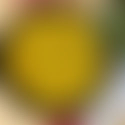 שווארמת טופו מהירה וטעימה !