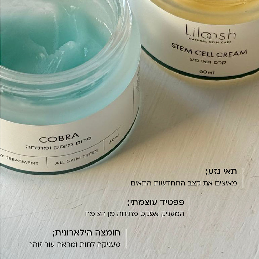 תמונה ממוזערת: גזע + קוברה