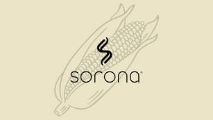 Sorona : le duvet écologique