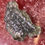 Thumbnail: MOLDAVITE