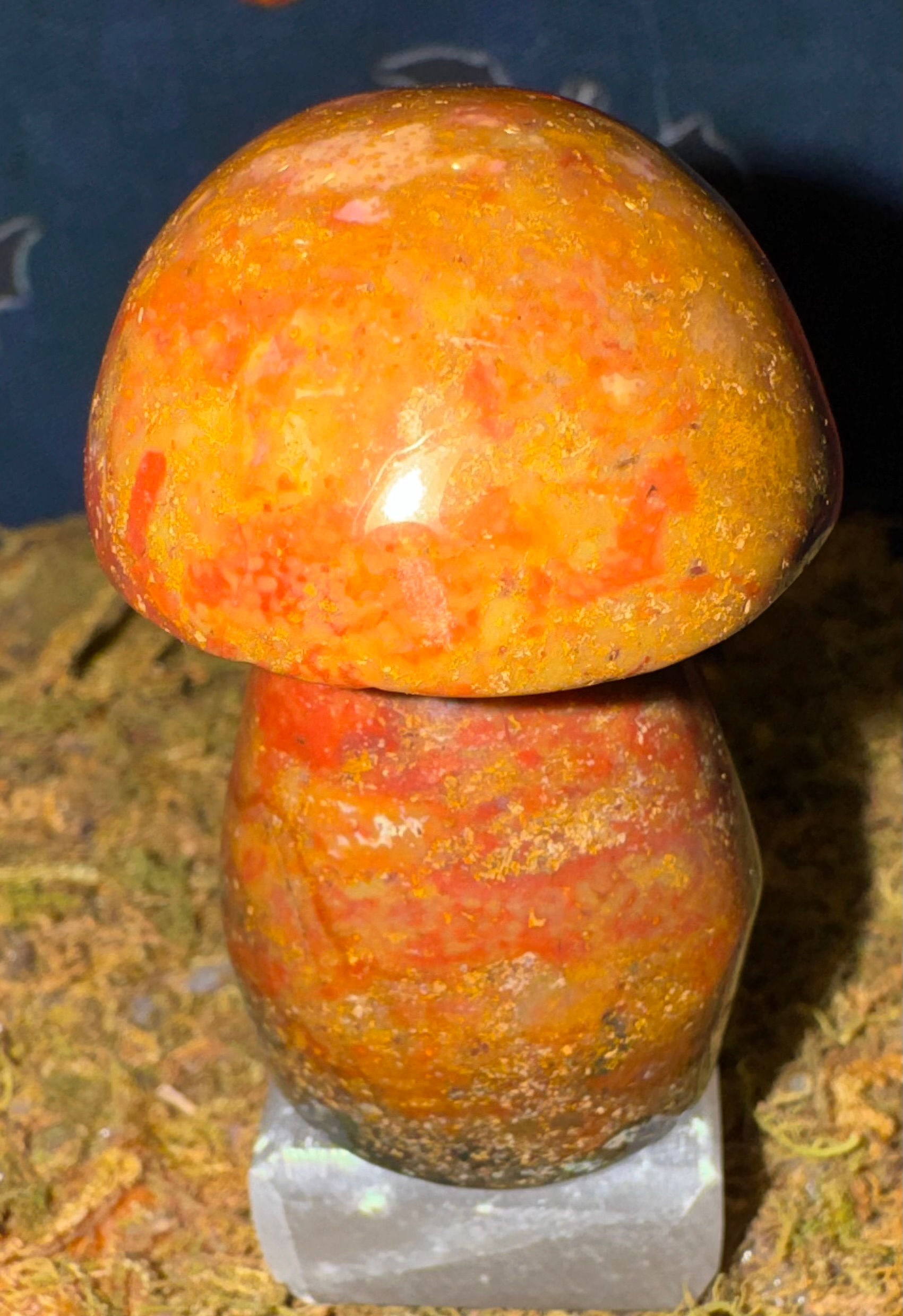 RAINBOW OCEAN JASPER MUSHIE