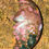 Thumbnail: 8th VEIN OCEAN JASPER MOON