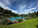 Hunde im Freibad