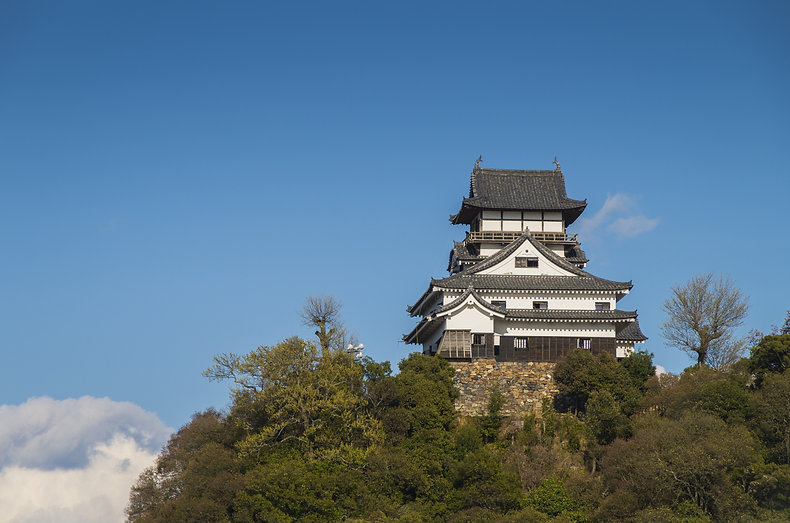 AdobeStock_67195265.jpeg