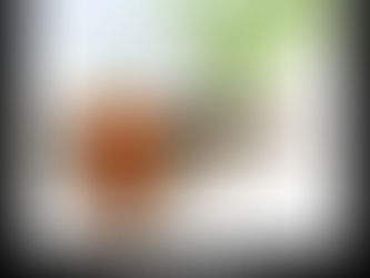 Гранти від Проєкту USAID “Врожай”