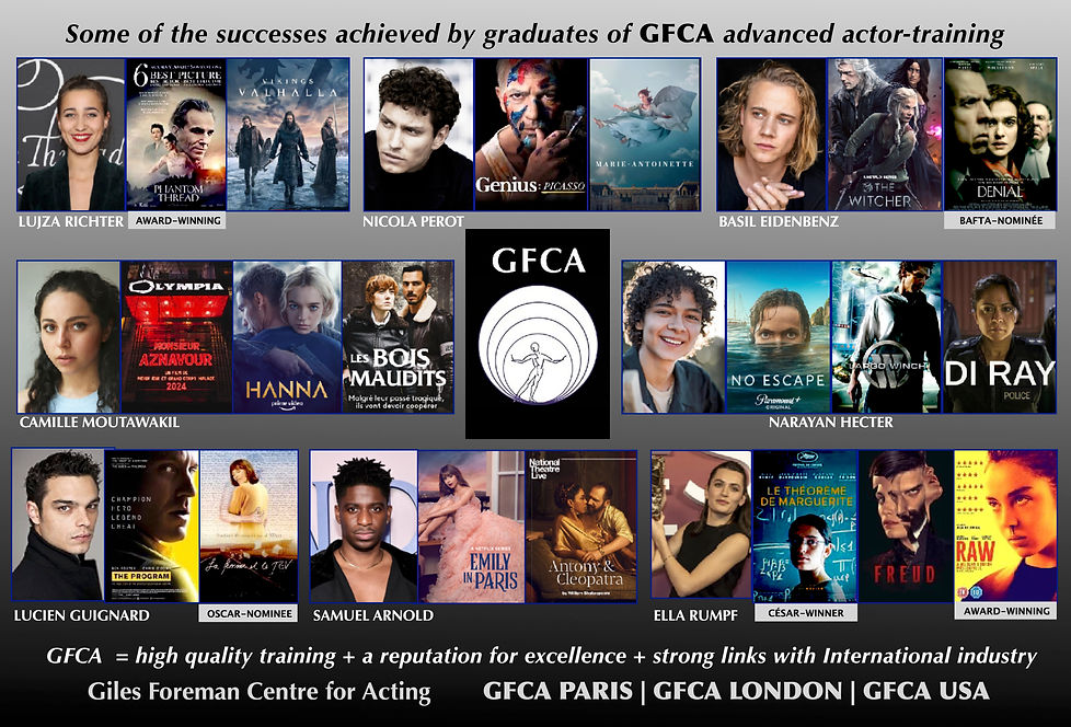 GFCA - web promo alumni successes
