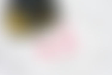 FHA Mortgage Delinquencies Reach a Record, Led by New Jersey