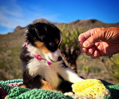 IMG_20251031_120554_654 (1)_edited.jpg