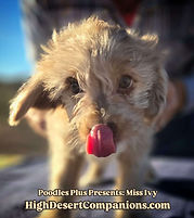 9cce0ee3-f9e4-49e5-a94a-adfbdf2feb8f (1).jpeg