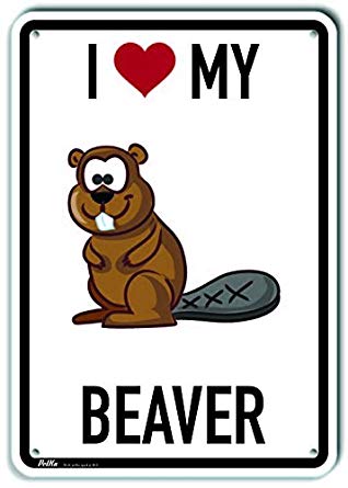 12V takfläkt 12V takfläkt