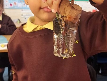 Year 2 had fun making their natural ice lollies in the forest area