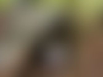 3LF KINGSWOOD TRIP 11.09.24