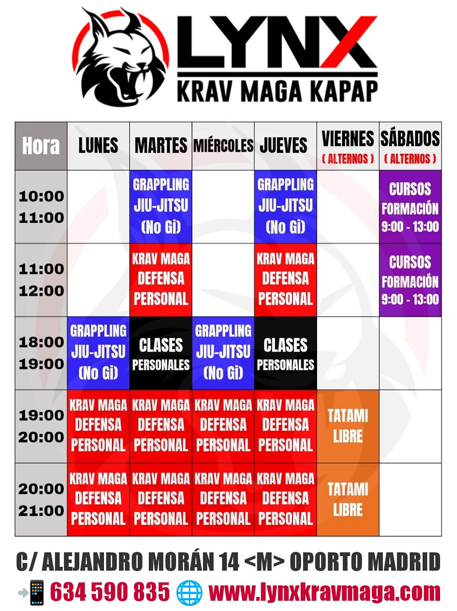 lynx krav maga horario madrid grappling bjj brazilian jiu jitsu mma artes marciales caraba