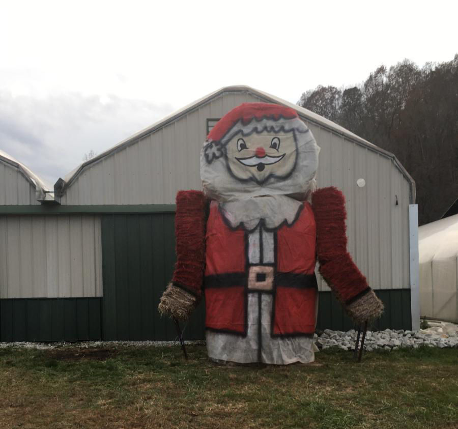 Santa
