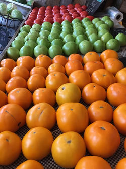 Tomatoes