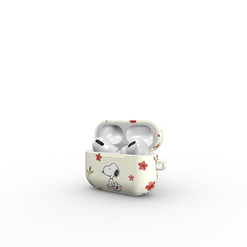 airpod case, airpods case