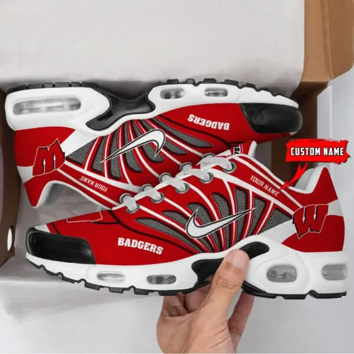 Wisconsin Badgers NCAA Air Max Plus Shoes - Limited