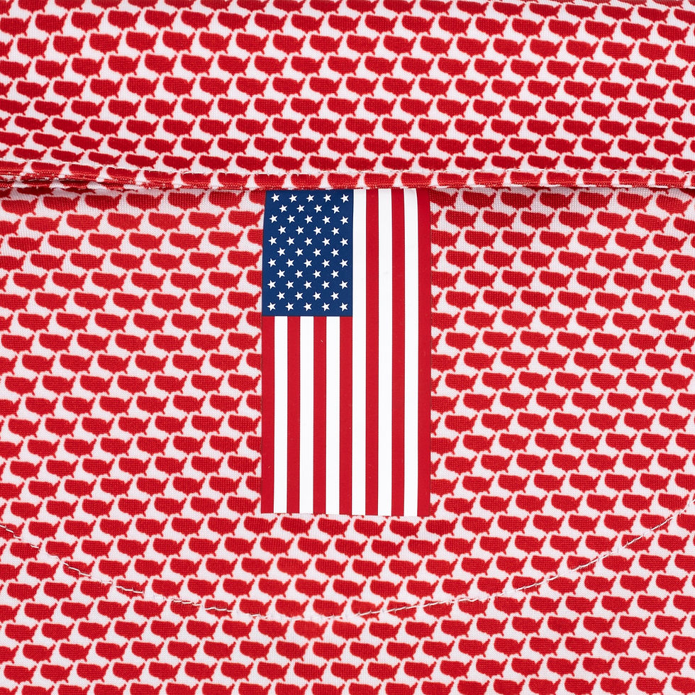Thumbnail: Rhoback The 1776 Short Sleeve Performance Polo - White/Classic Red