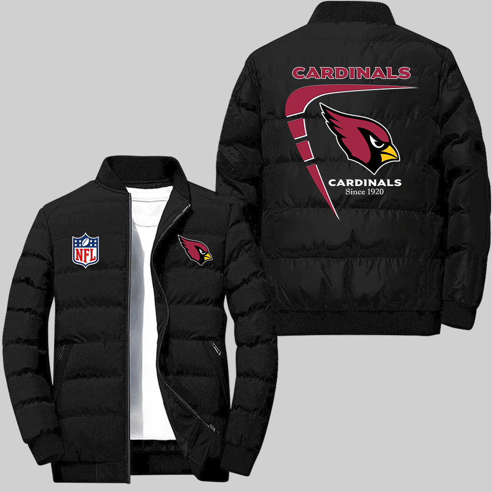 Arizona Cardinals NFL Team Logo Amazing Year Boomerang Lining Pattern Black 2D P