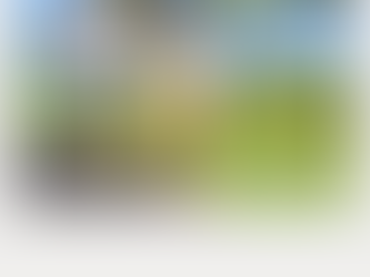 How Exercise Boosts Mental Health