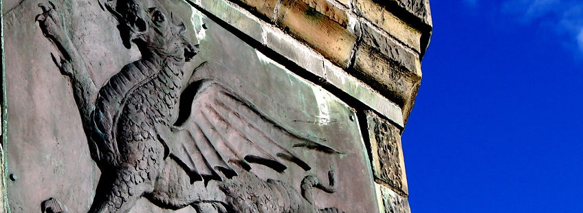 dragon banner_cr (Medium).jpg