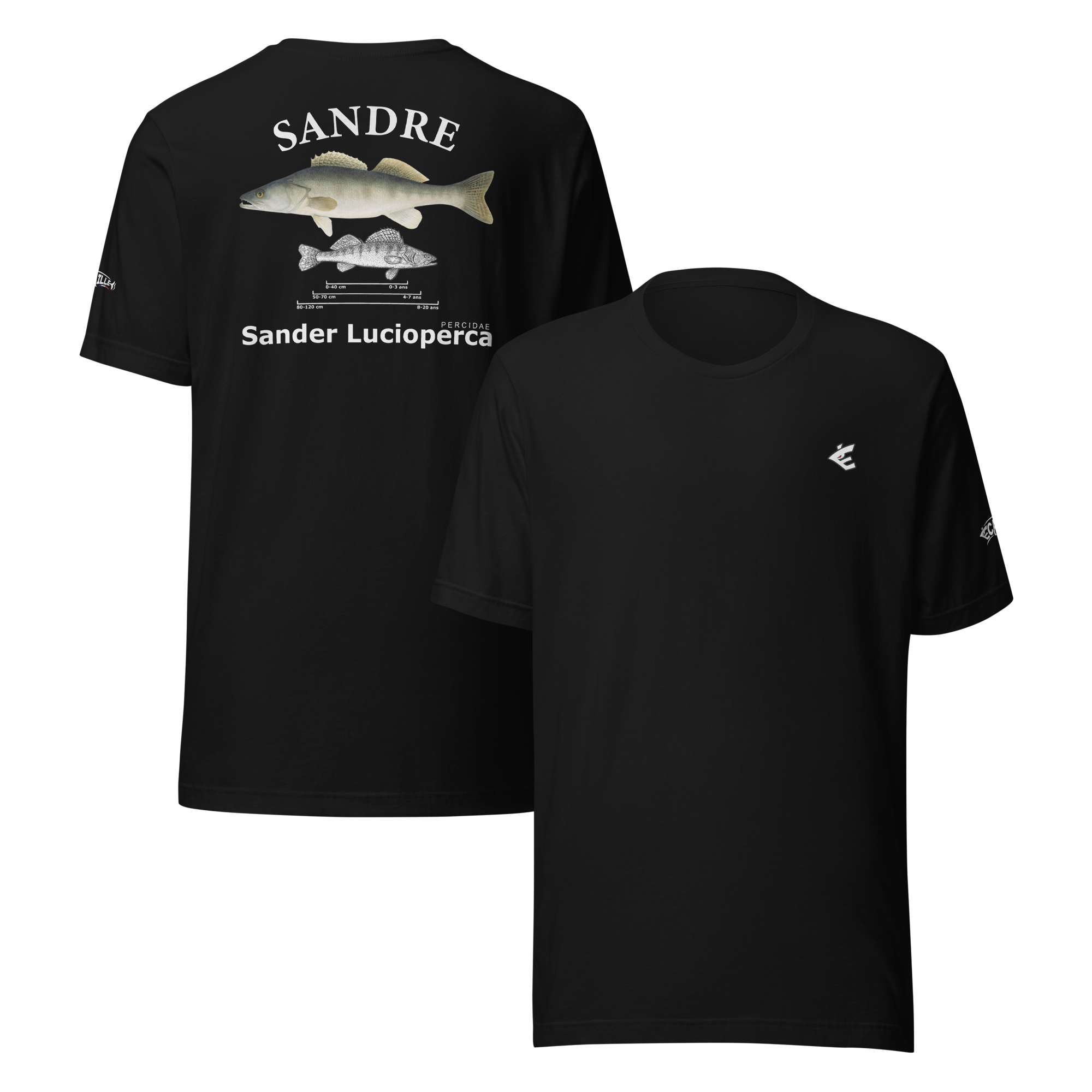 T-S | Scientifique - Sandre