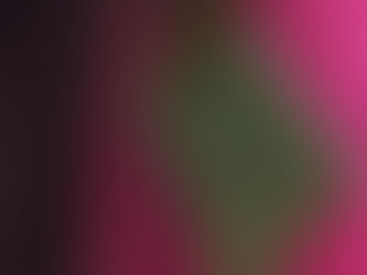 The Red Room- Pink Dress Video