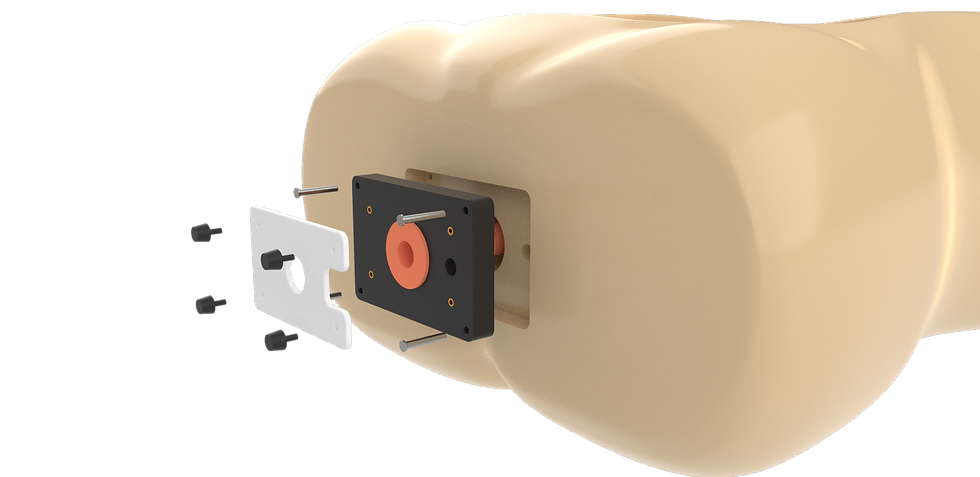 Thumbnail: Colon Endoscopic Submucosal Dissection Training Platform