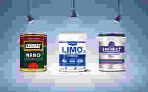 Sơn everest là loại sơn tốt nhất thị trường sơn thời điểm hiện tại và trong tương lai.