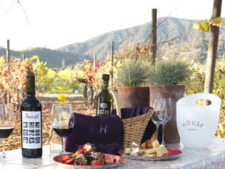 Innovar: Chile - vides y gastronomía