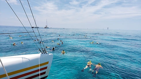 20190726_140956.jpg