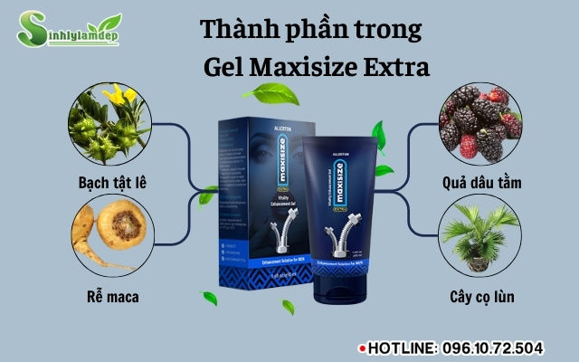 thanh phan maxiszie