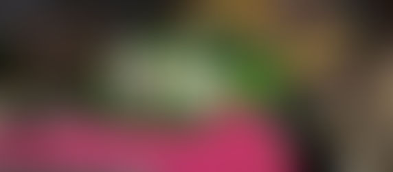 Behind the Scenes of the OVO Cirque du Soleil Premiere Visuals