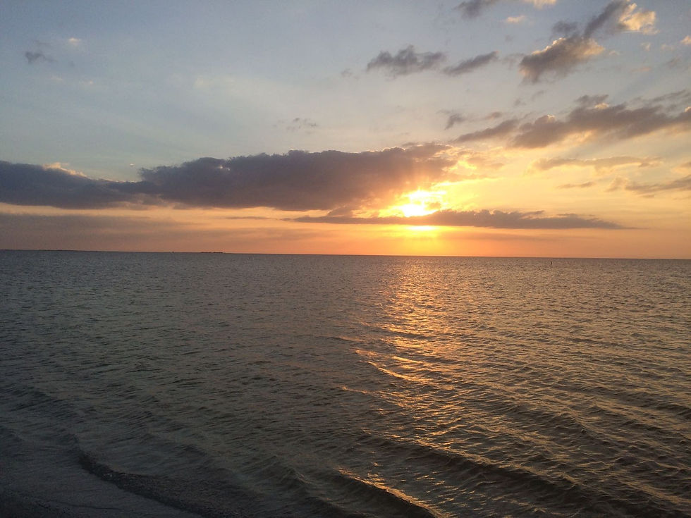 Cerca al mar