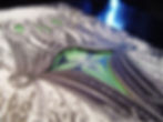 xxx rex detail 2008