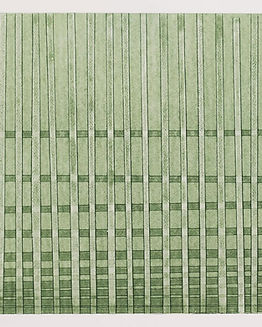 “Drainage”🚿Monoprint35x35 cmOn silk paper 💚💚💚.jpg
