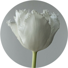 A white tool conveys forgiveness