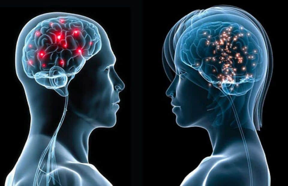 diferenças sexuais no cerebro de homem e mulher