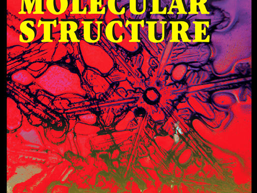 Nombran a investigadora del ICUAP miembro del Consejo Editorial de prestigiosa revista científica internacional