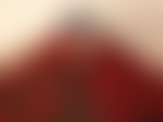 Nochebuena poblana: buen arranque para productores con ventas sólidas y precios moderados