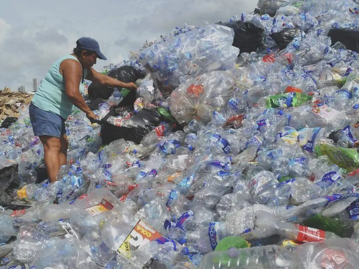 PET: El Plástico que Impulsa la Economía Circular y se Reutiliza en Nuevos Productos