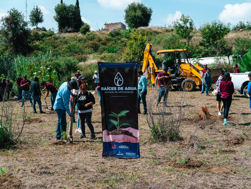 Inicia la reforestación “Raíces de Agua” en el cerro Zapotecas