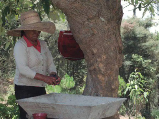 Zautla sufre paradoja hídrica: sus comunidades más pobres carecen de agua