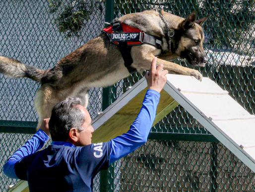 El CAETO BUAP se prepara para celebrar su tercer aniversario con actividades académicas y culturales